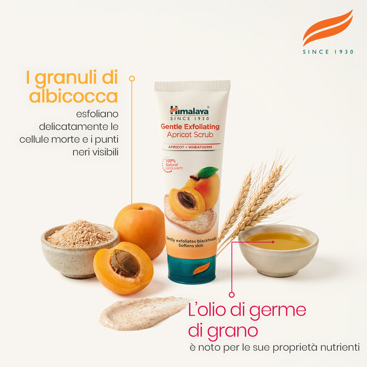 Scrub esfoliante delicato con albicocca