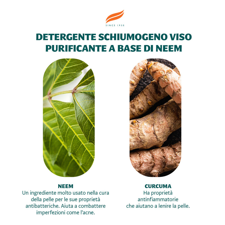 Mousse detergente viso purificante a base di Neem