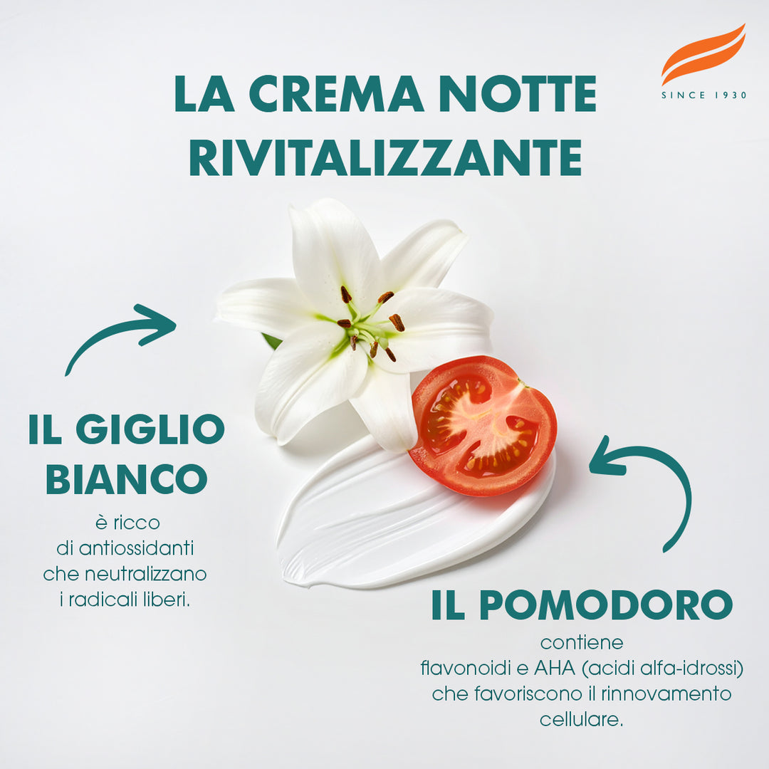 Crema notte rivitalizzante