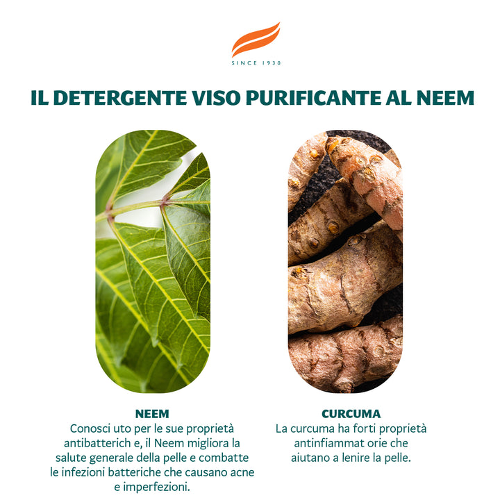 Detergente viso purificante a base di Neem