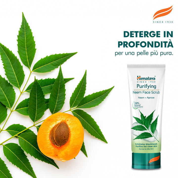 Scrub purificante a base di Neem