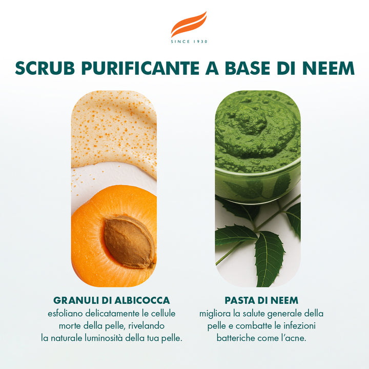 Scrub purificante a base di Neem