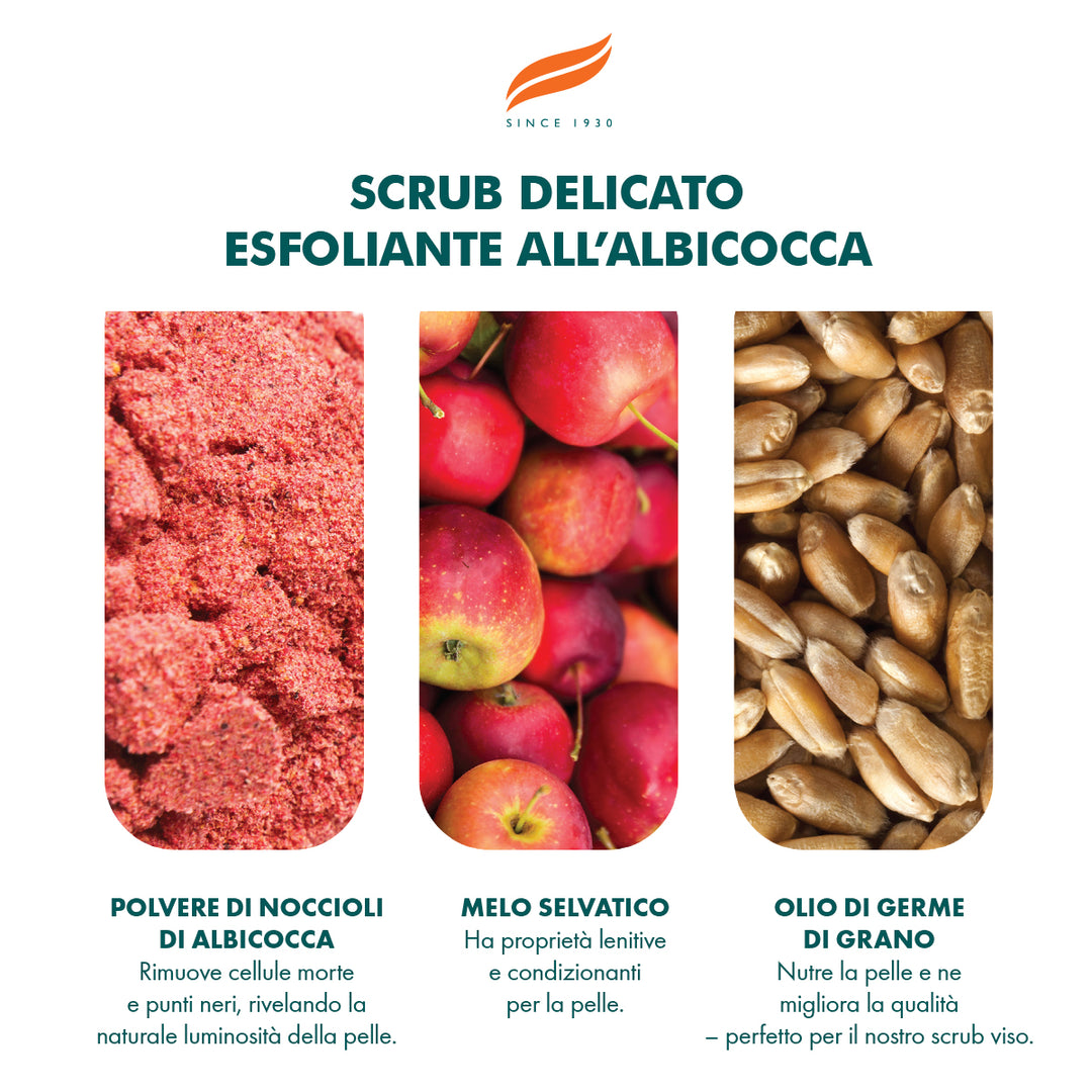 Scrub esfoliante delicato con albicocca