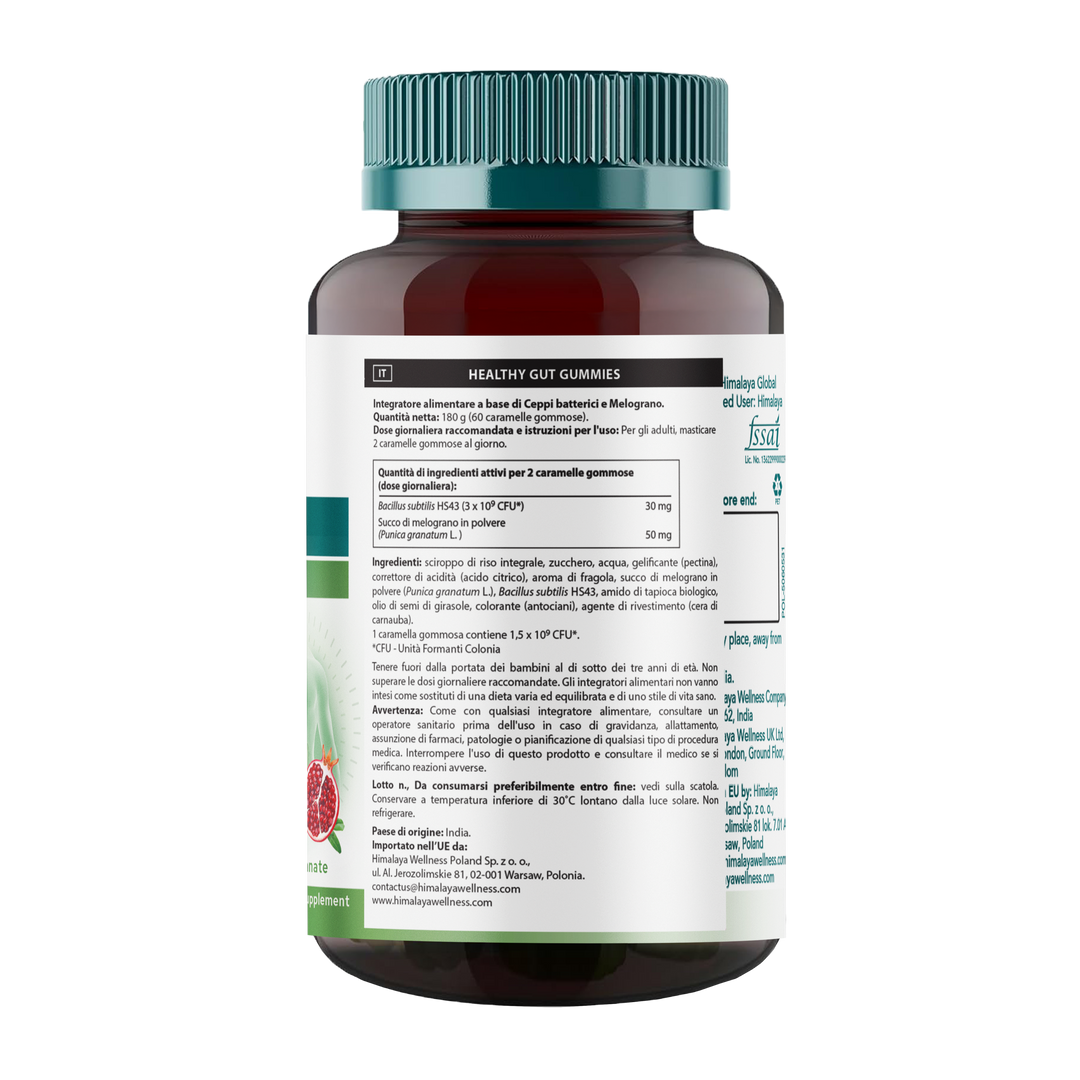 Himalaya Healthy Gut Gummies