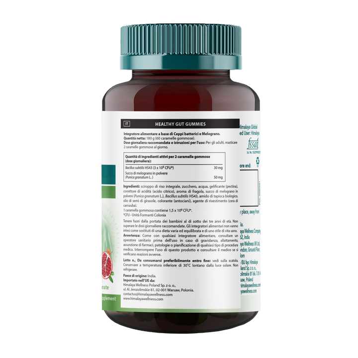 Himalaya Healthy Gut Gummies