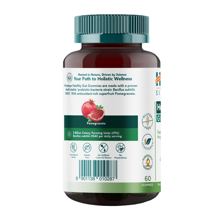Himalaya Healthy Gut Gummies