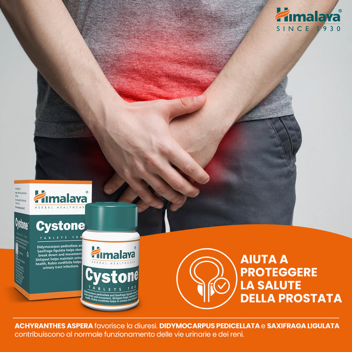 Cystone