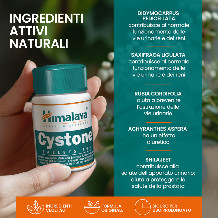 Cystone