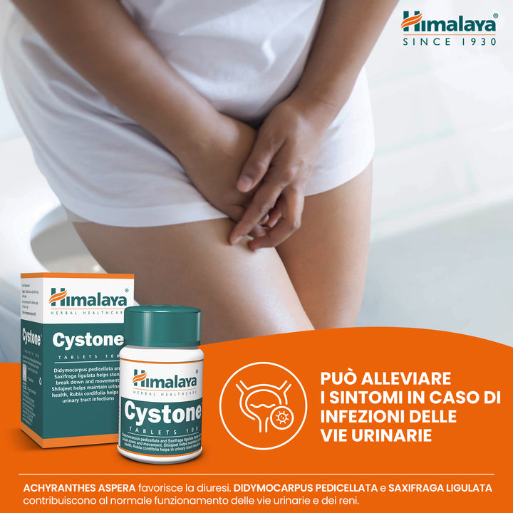 Cystone
