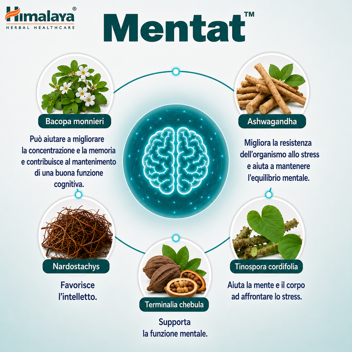 Himalaya Mentat - 50 Tablets