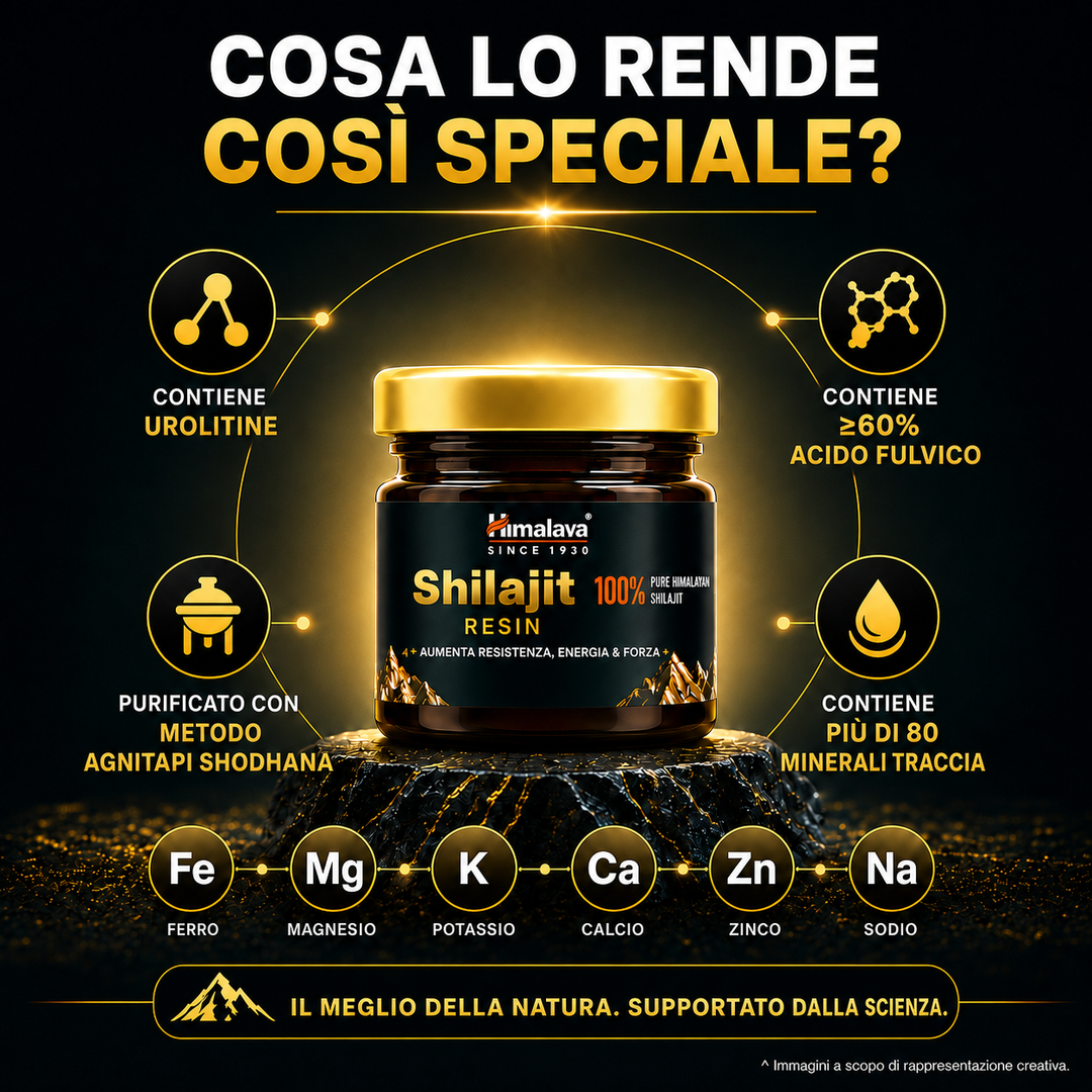 Himalaya SHILAJIT RESIN