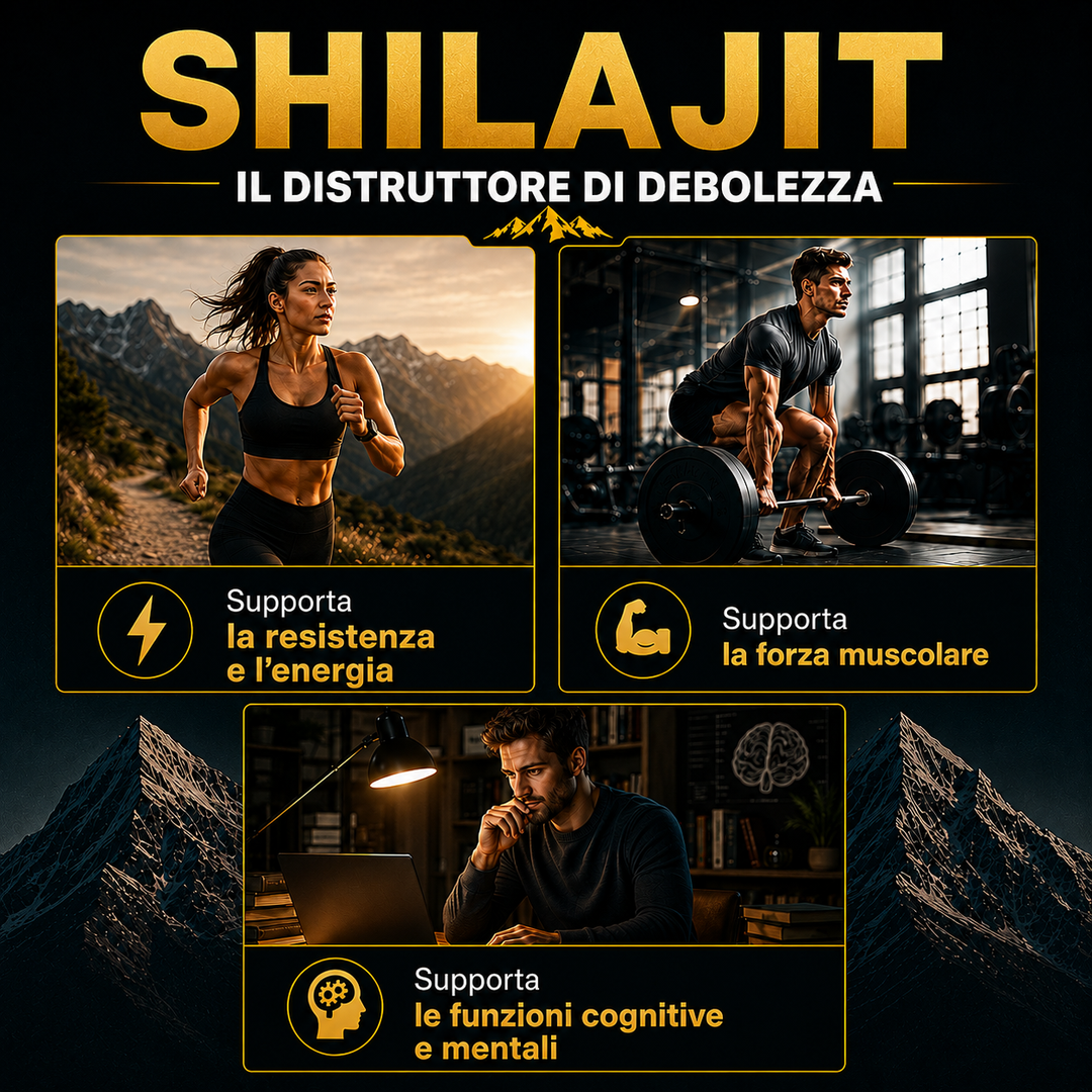 Himalaya SHILAJIT RESIN