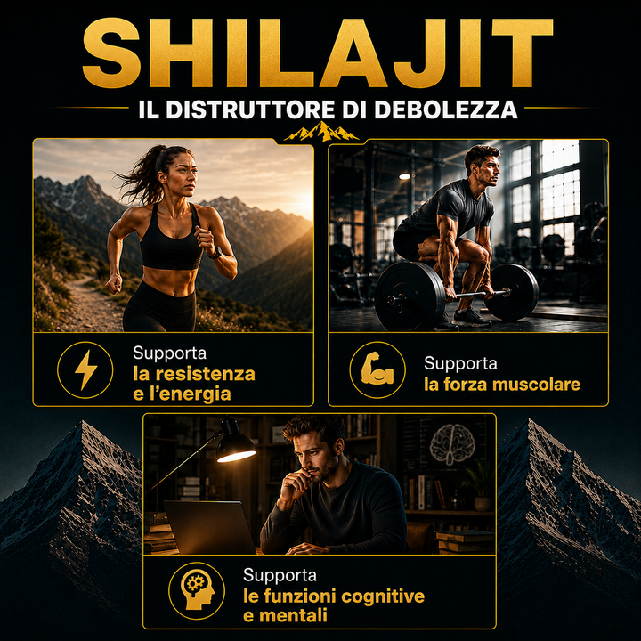 Himalaya SHILAJIT RESIN