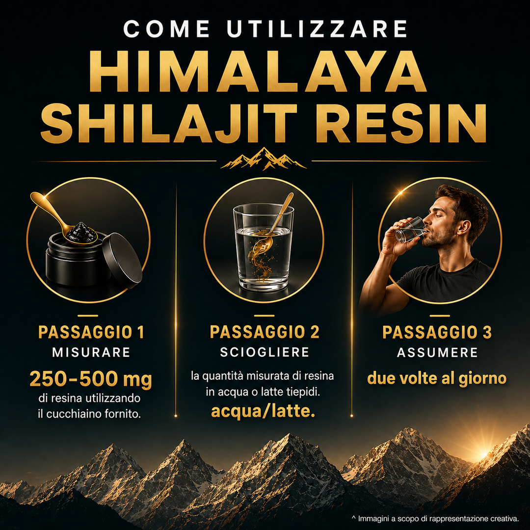 Himalaya SHILAJIT RESIN