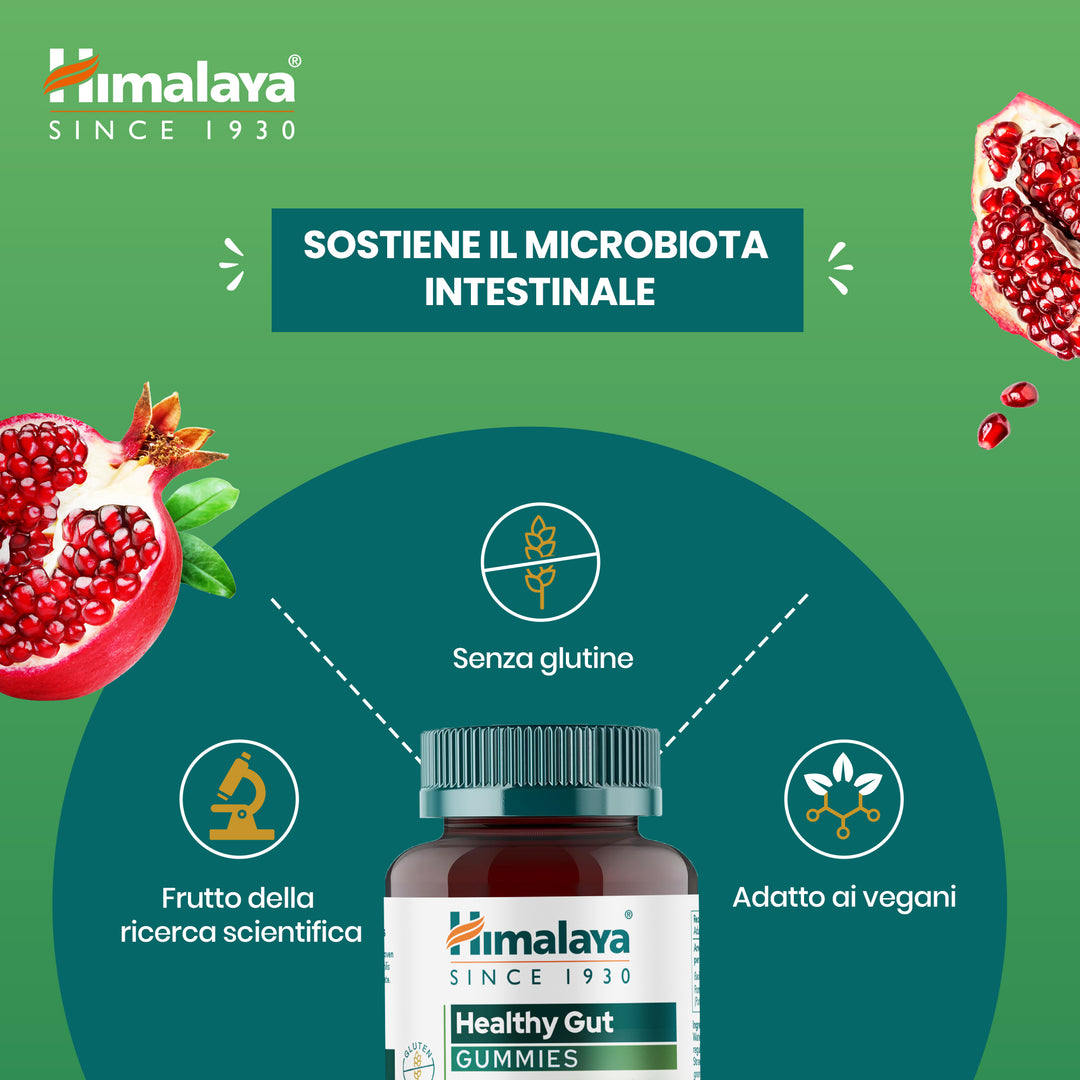 Himalaya Healthy Gut Gummies