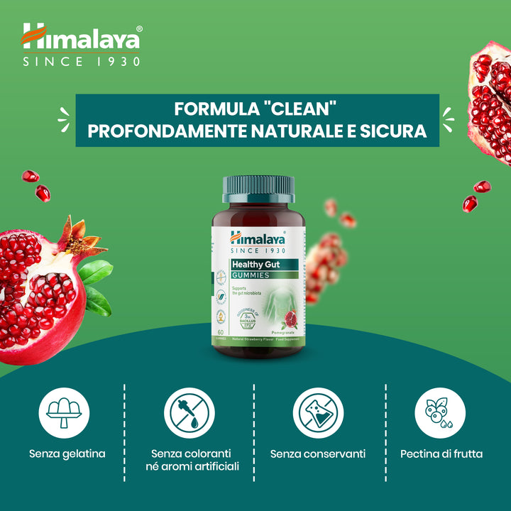 Himalaya Healthy Gut Gummies